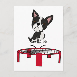 Carte Postale Caricature du mignon Boston Terrie Dog sur Trampol