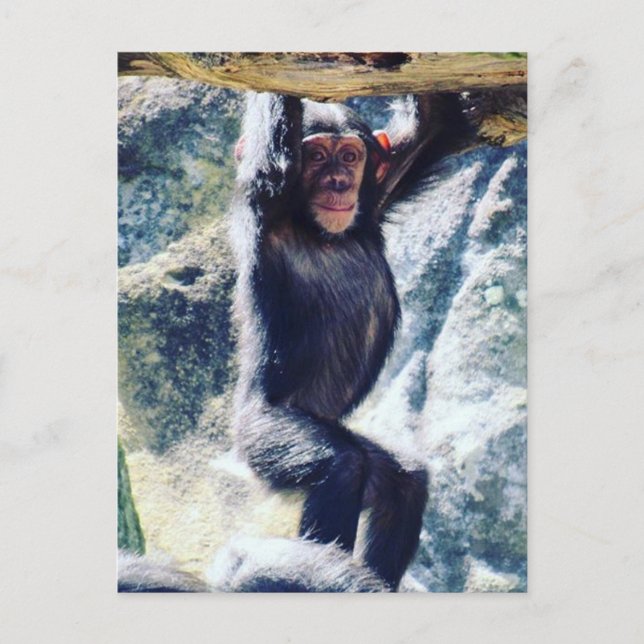 Carte Postale carillon (Devant)