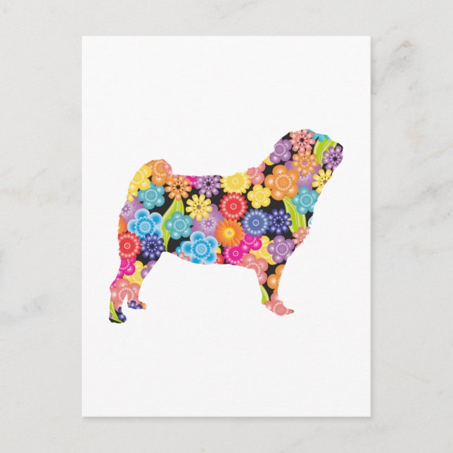 Carte Postale Carlin (Devant)