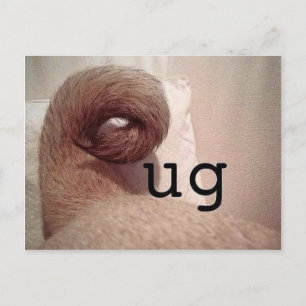 Carte Postale Carlin