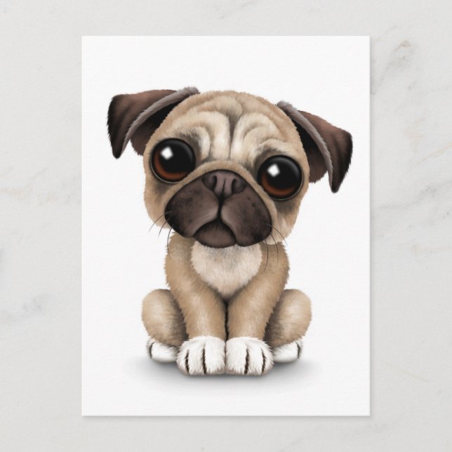 Carte Postale Carlin bébé mignon Chien chiot sur blanc (Devant)