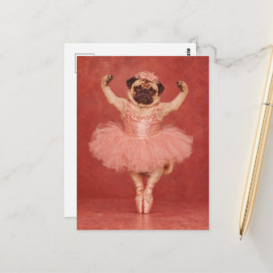 Carte Postale Carlin boudeur en tutu rose