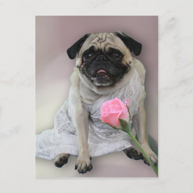 Carte Postale Carlin du jour de mariage (Devant)