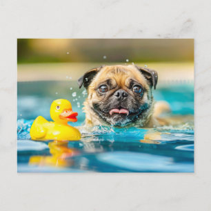 Carte Postale Carlin nageant avec un canard en caoutchouc dans l
