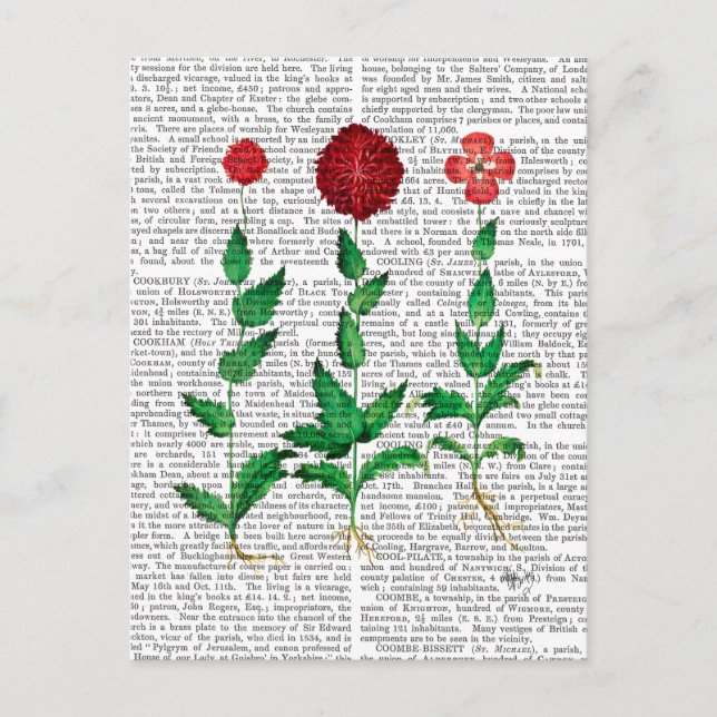 Carte Postale Carnation italienne 2 (Devant)