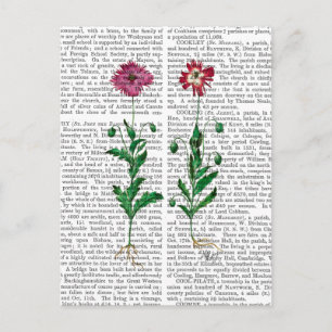 Carte Postale Carnation italienne 3