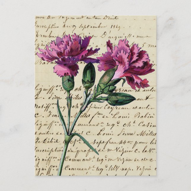 Carte Postale carnation vintage (Devant)