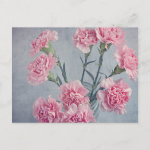 Carte Postale Carnations roses