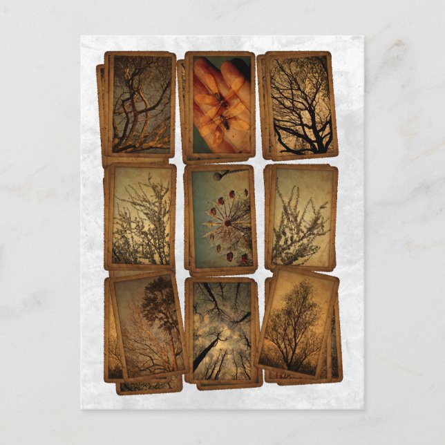 Carte Postale Carnaval, libellules, arbres (Devant)