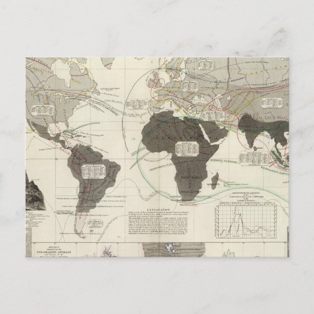 Carte Postale Carnivora (Devant)