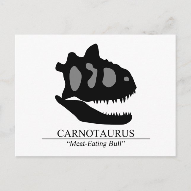 Carte Postale Carnotaurus (Devant)