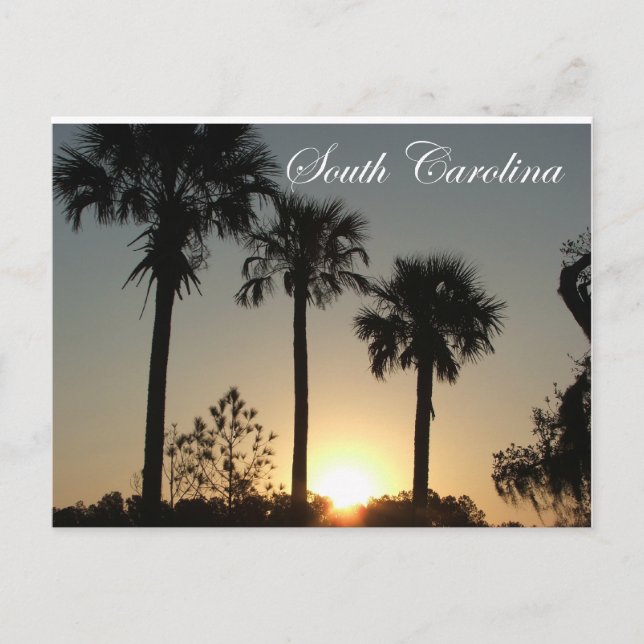 Carte Postale Carolina Sud Palmetto lever du soleil (Devant)