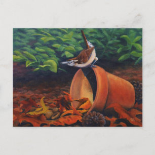 Carte Postale Carolina Wren