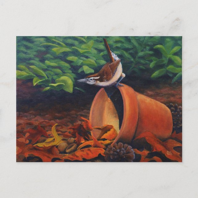 Carte Postale Carolina Wren (Devant)