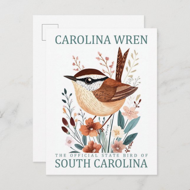 Carte Postale Carolina Wren Bird de Caroline du Sud Voyage (Devant / Derrière)