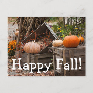 Carte Postale Caroline du Nord, Linville, citrouilles d'automne