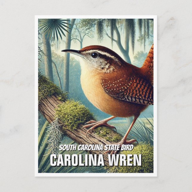 Carte Postale Caroline du Sud État Oiseaux Carolina Wren (Devant)