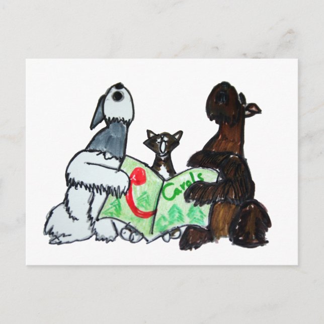 Carte Postale Carottage (Devant)