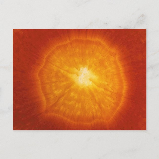 Carte Postale Carotte (Devant)