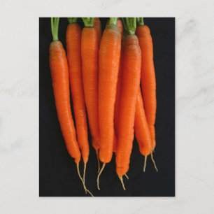 Carte Postale Carottes fraîches du jardin