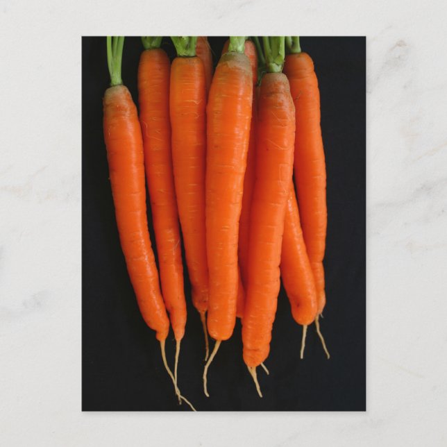Carte Postale Carottes fraîches du jardin (Devant)