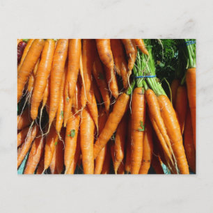 Carte Postale Carottes oranges de récolte fraîche de la ferme à