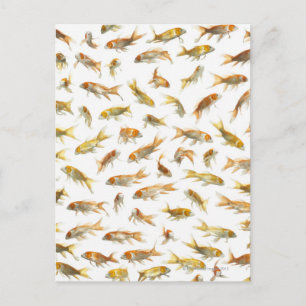 Carte Postale Carpe (Cyprinus carpio) 2