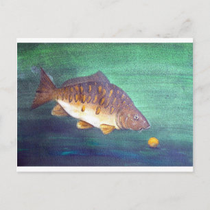 Carte Postale Carpe miroir