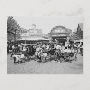 Carte Postale Carriages de chèvres à Coney Island, 1910
