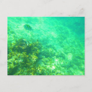 CARTE POSTALE CARRIÈRE CARRIÈRE 2