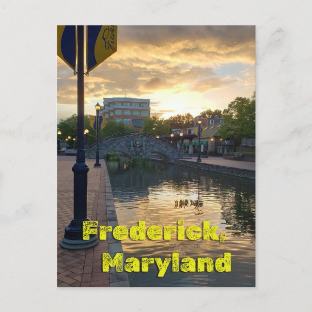 Carte Postale Carroll Creek Frederick Maryland #3 (Devant)