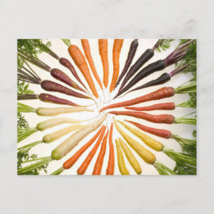 Carte Postale Carrot Color