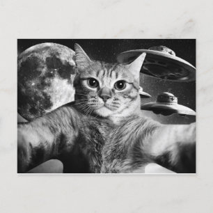 Carte Postale Cartão Postal Cat Space