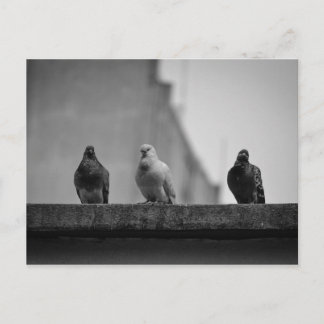 Carte Postale Cartão Postal - Três Pombos (Avenida Paulista)|Nº3