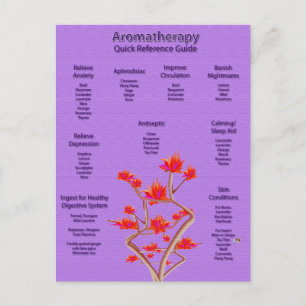 Carte postale Carte graphique Aromathérapie