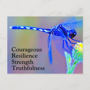 Carte postale Cartes d'Esprit de libellules bleues