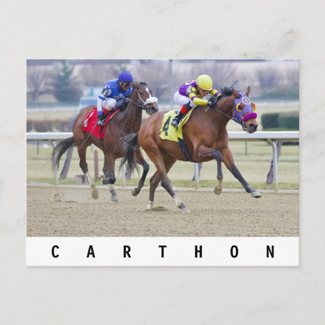 Carte Postale Carthon (Devant)