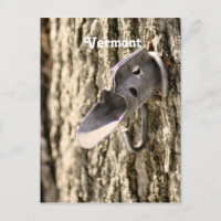 Cartographie d'érable du Vermont