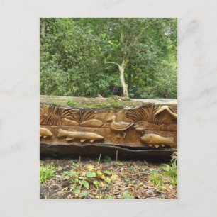 Carte Postale Cartographie des journaux