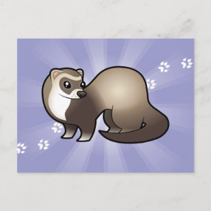 Carte Postale Cartoon Ferret