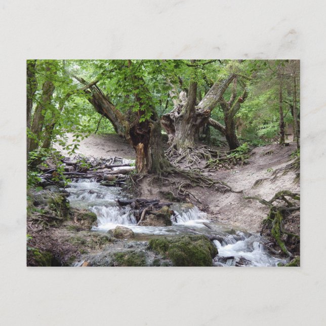 Carte Postale cascade (Devant)