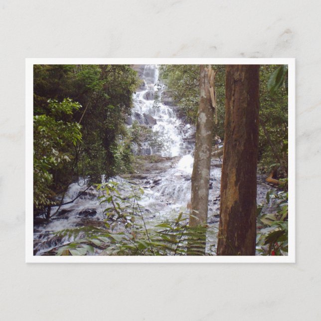 Carte Postale cascade (Devant)