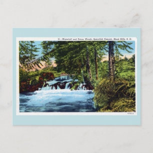 Carte Postale Cascade, bois, Canyon de poisson rouge, Black Hill
