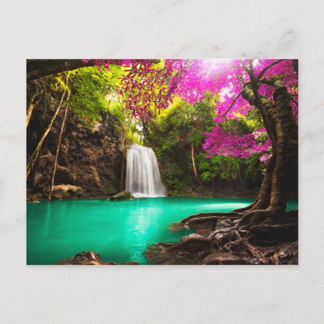 Carte Postale Cascade dans la forêt d'automne (Devant)