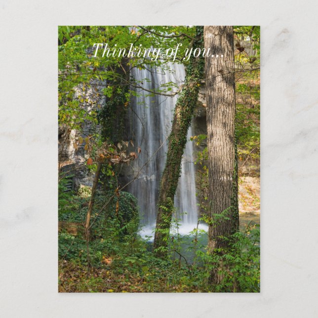 Carte Postale Cascade Dans Les Bois (Devant)