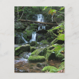 Carte Postale Cascade de cascade dans le paysage forestier luxur
