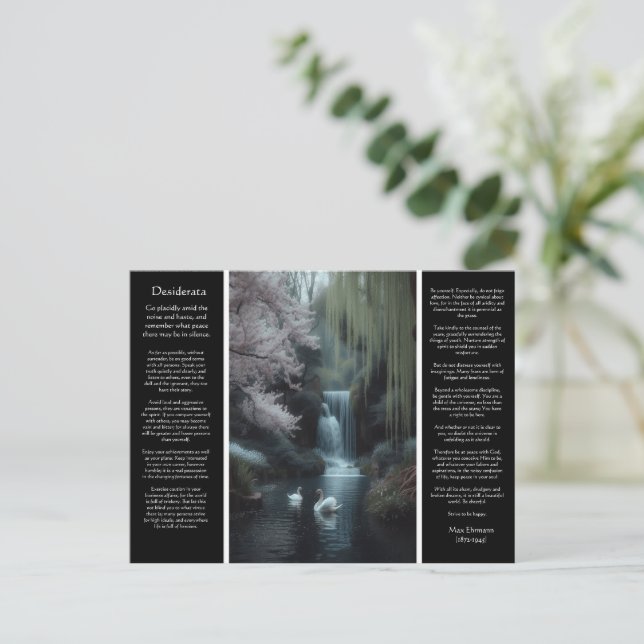 Carte Postale Cascade de Desiderata : Réflexions, Paix des forêt (Debout devant)