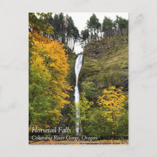 Carte Postale Cascade de Horsetail, Gorge du Columbia, Oregon Po