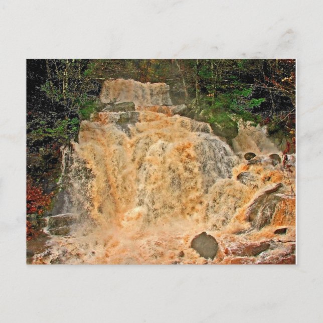 Carte Postale Cascade de Hunter Mountain (Devant)
