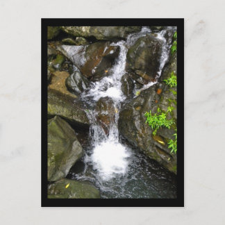 Carte Postale Cascade de la forêt tropicale nationale El Yunque